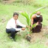 Tree Plantation at GA Bungalow